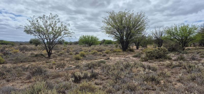 6 Bedroom Property for Sale in Barrydale Western Cape